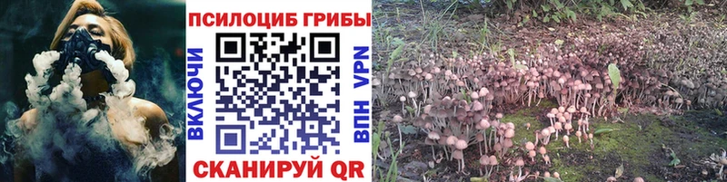 Псилоцибиновые грибы GOLDEN TEACHER  Купить где  Полярные Зори 